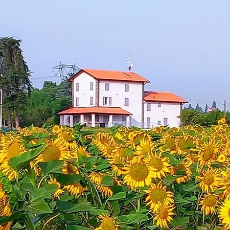 La Collinetta B&B クレスペッラーノ エクステリア 写真