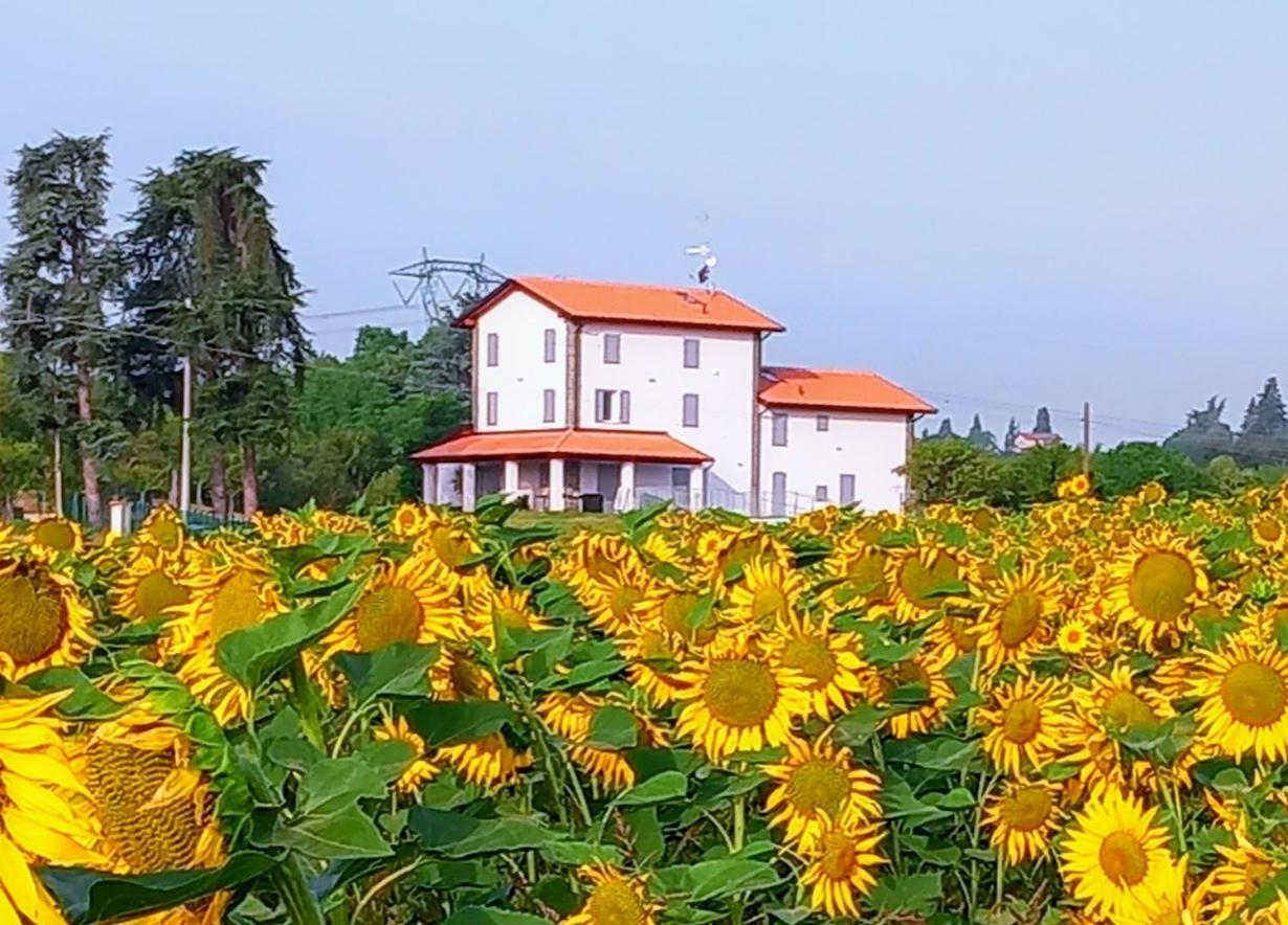 La Collinetta B&B クレスペッラーノ エクステリア 写真