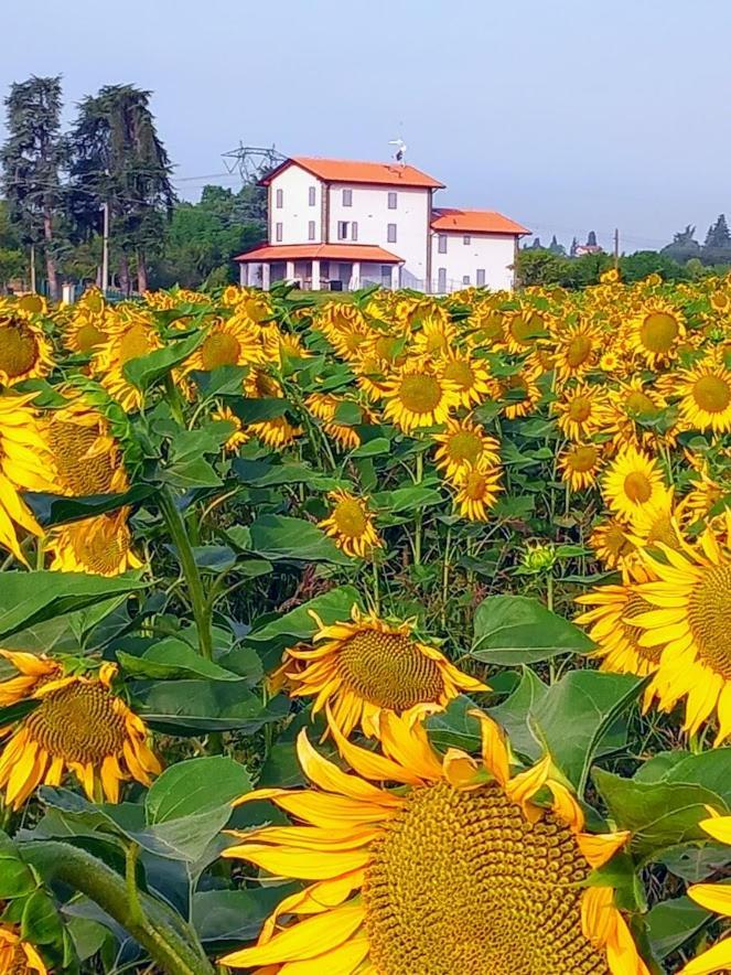 La Collinetta B&B クレスペッラーノ エクステリア 写真