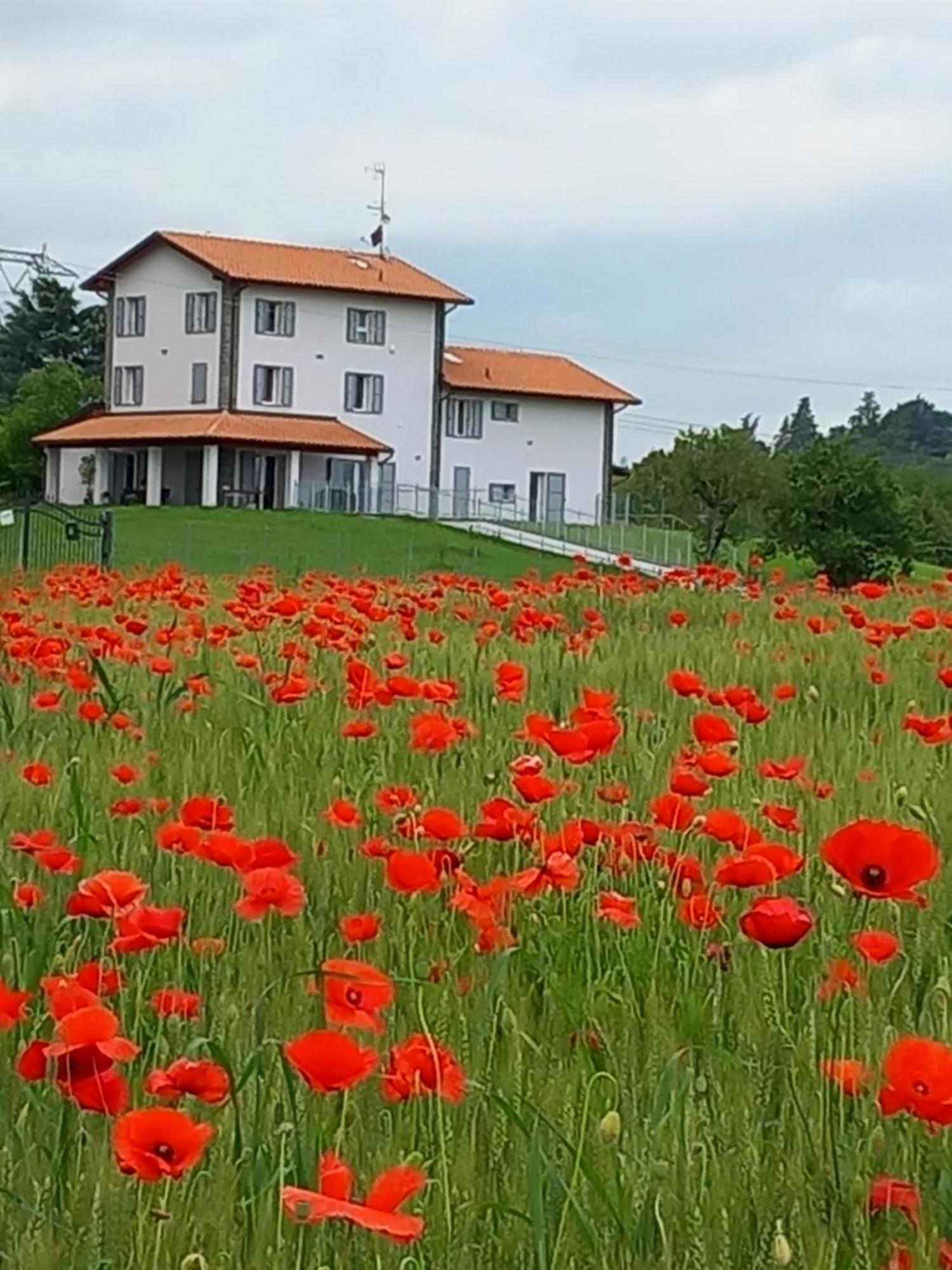 La Collinetta B&B クレスペッラーノ エクステリア 写真